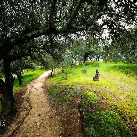 Herdade Da Rocha - Boutique Lodge Crato Luaran gambar