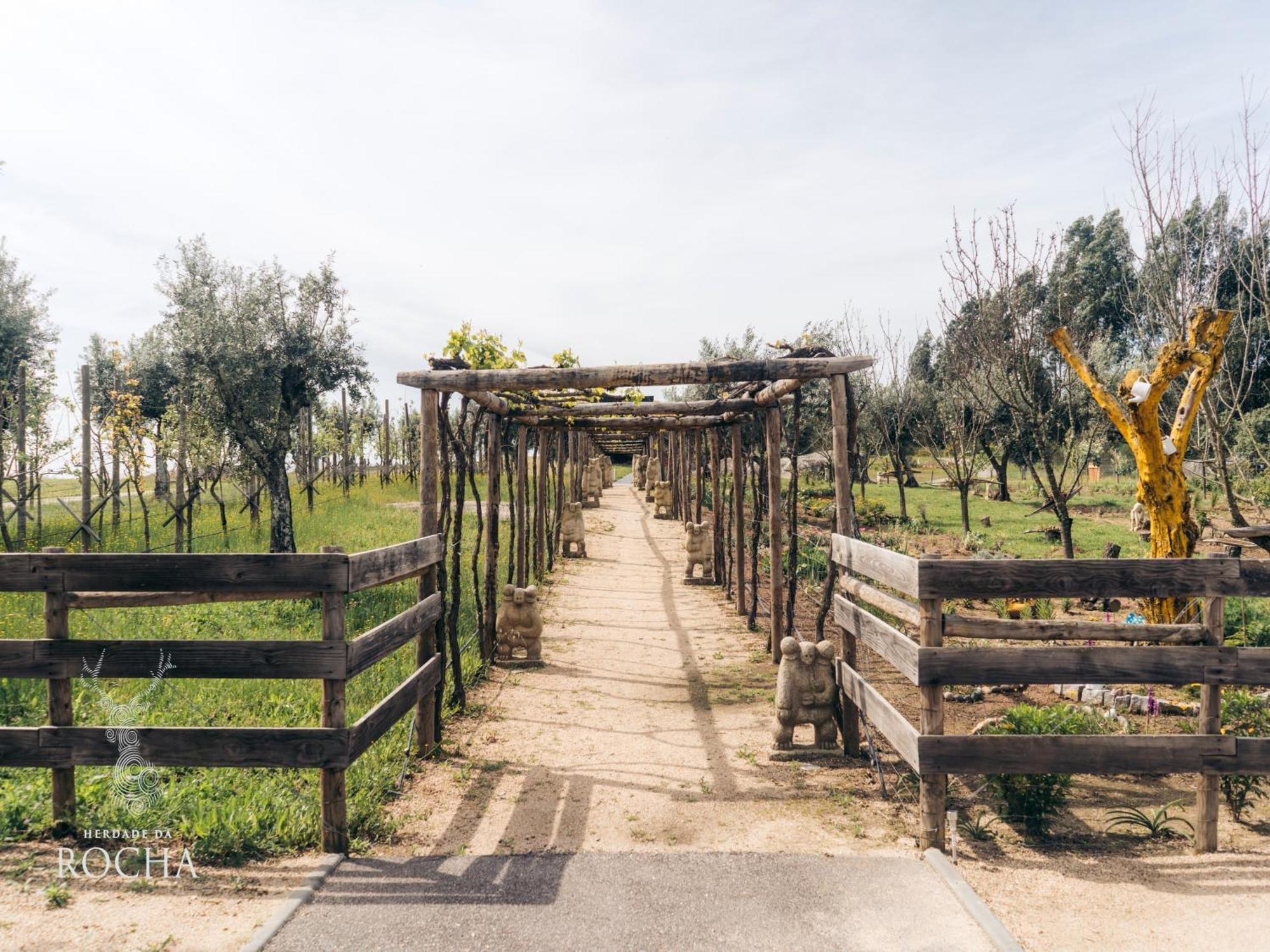 Herdade Da Rocha - Boutique Lodge Crato Luaran gambar