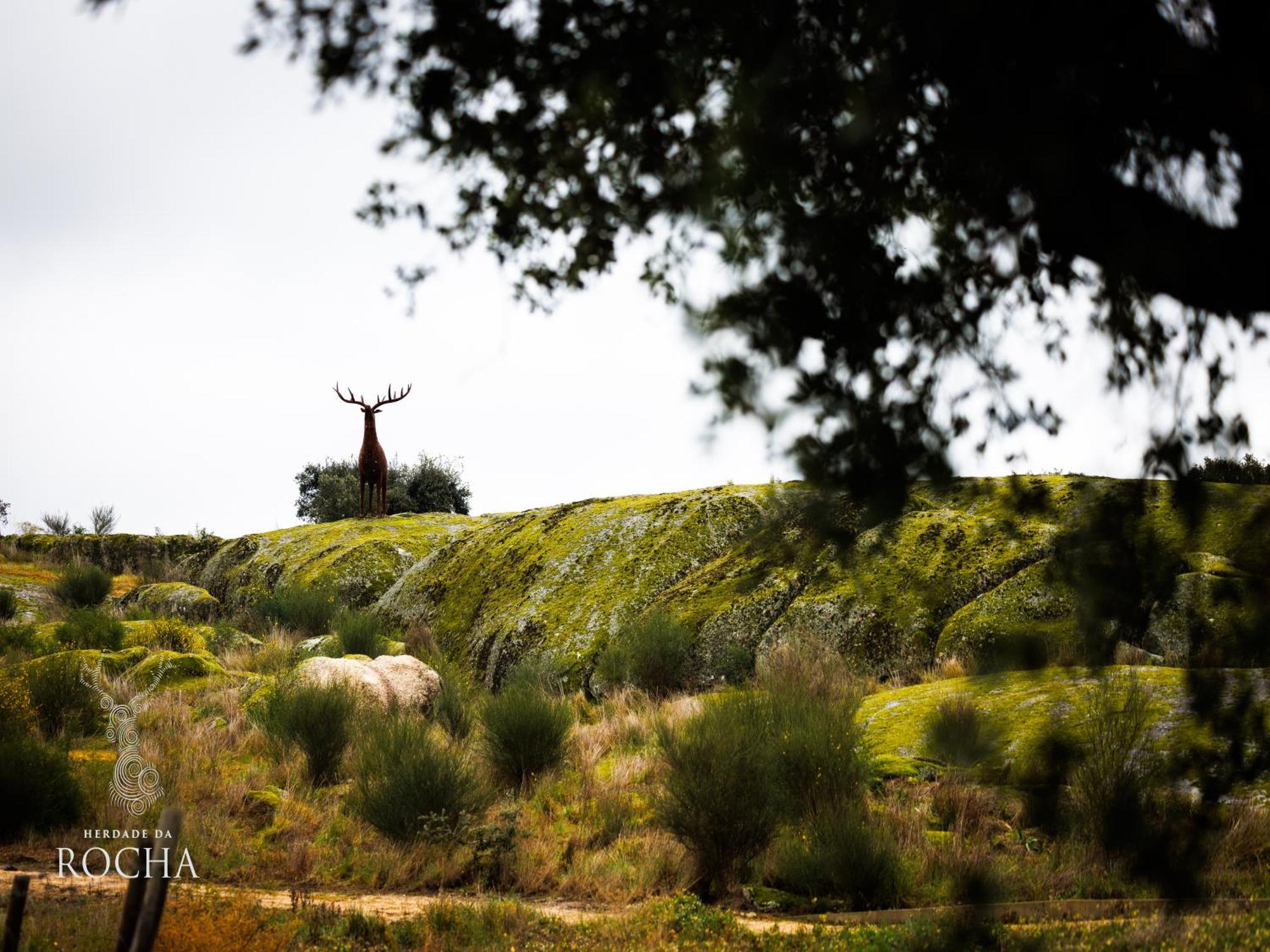 Herdade Da Rocha - Boutique Lodge Crato Luaran gambar