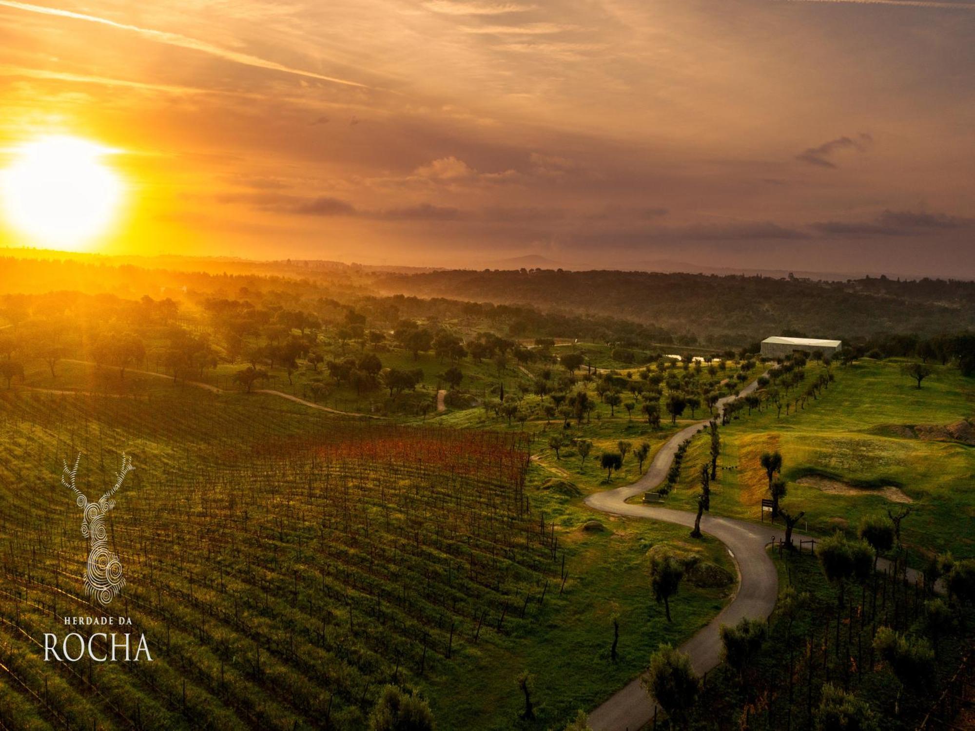 Herdade Da Rocha - Boutique Lodge Crato Luaran gambar